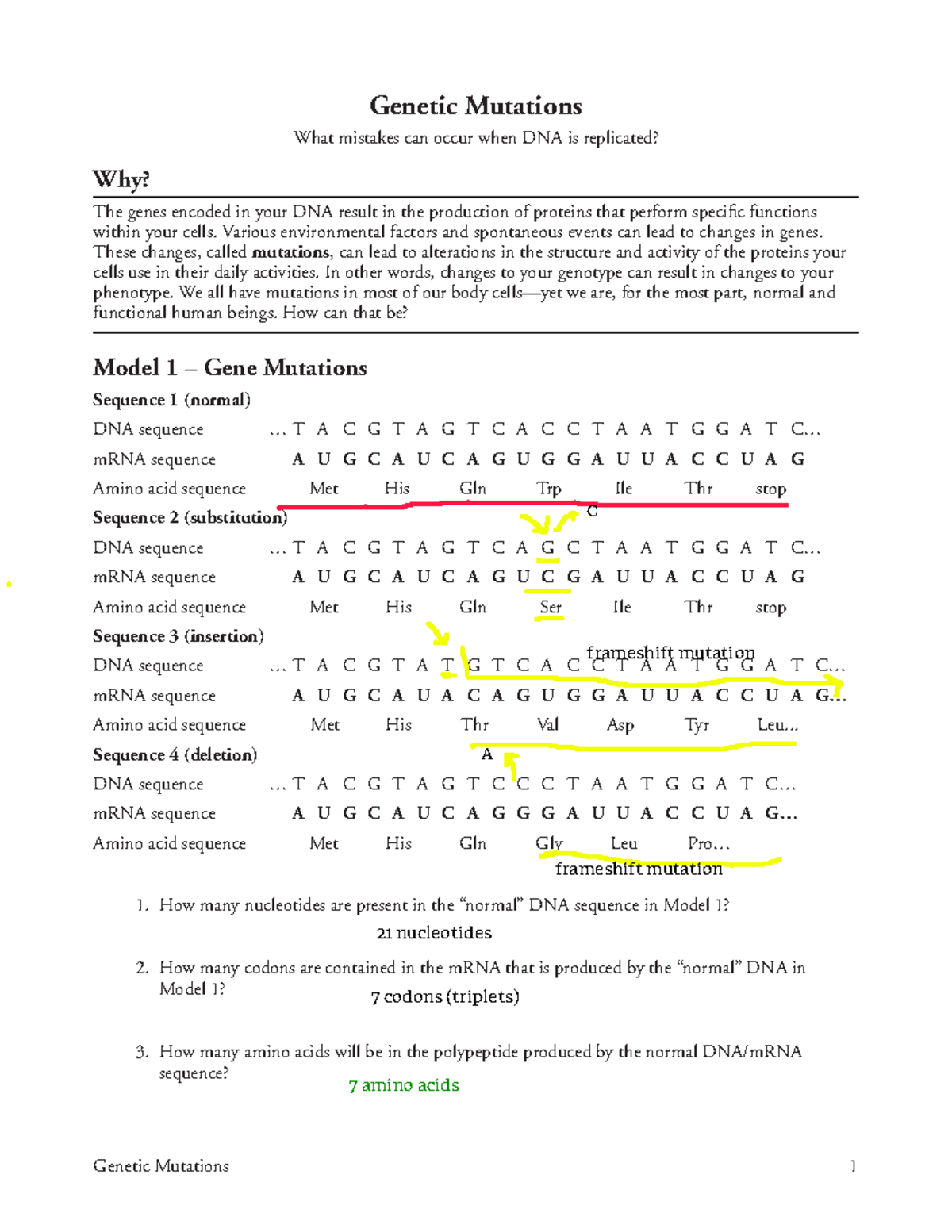 Genetic Mutations In DNA Replication Insights And Activities For AP Biology Studocu Genetic Mutations In DNA Replication Insights And Activities For AP Biology Studocu