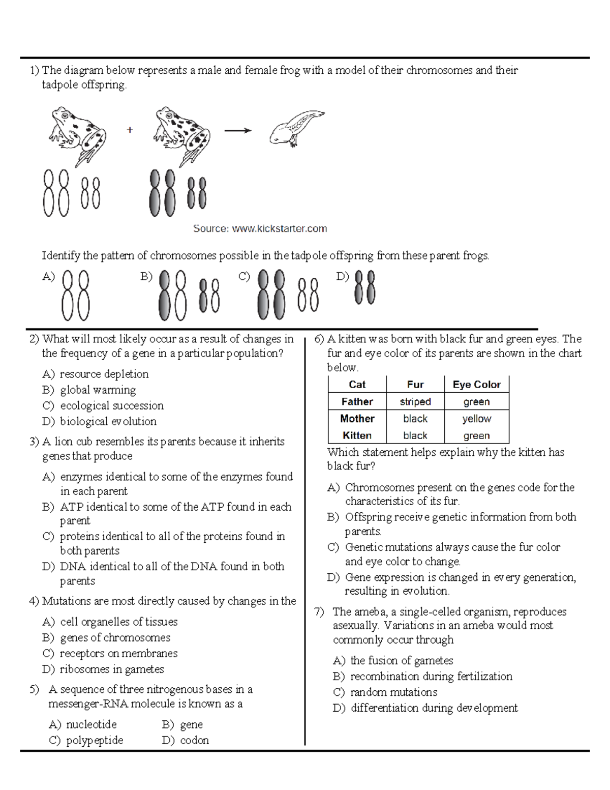 Genetics 1712883671087 Final Exam Study Guide On Chromosomes Mutations Studocu