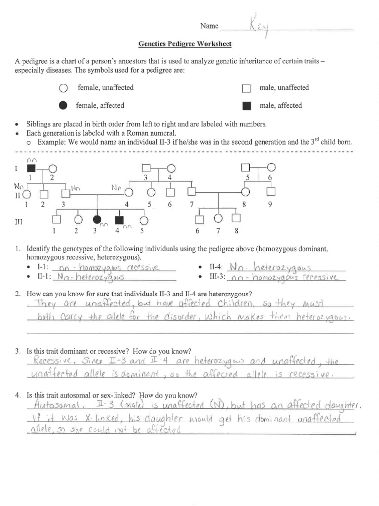 genetics pedigree worksheet dimples answer key genetics pedigree worksheet dimples answer key