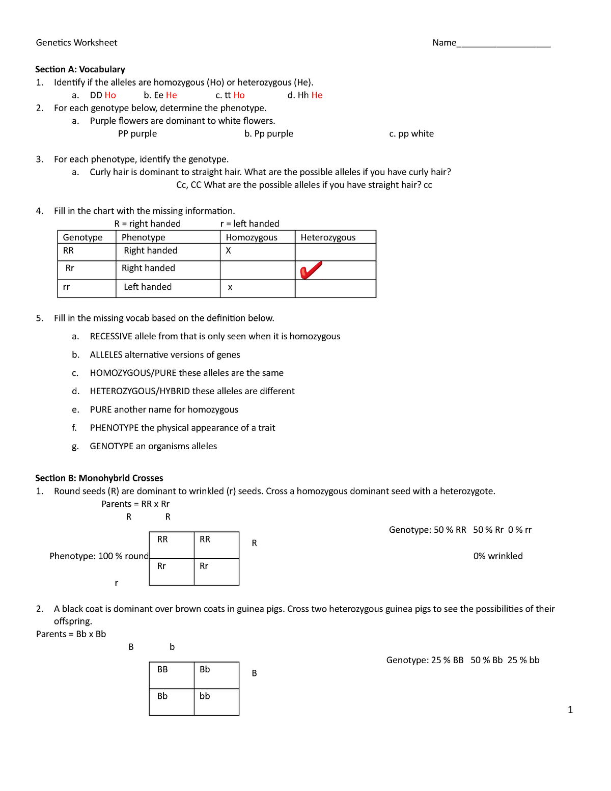 genetics worksheet answers genetics worksheet answers