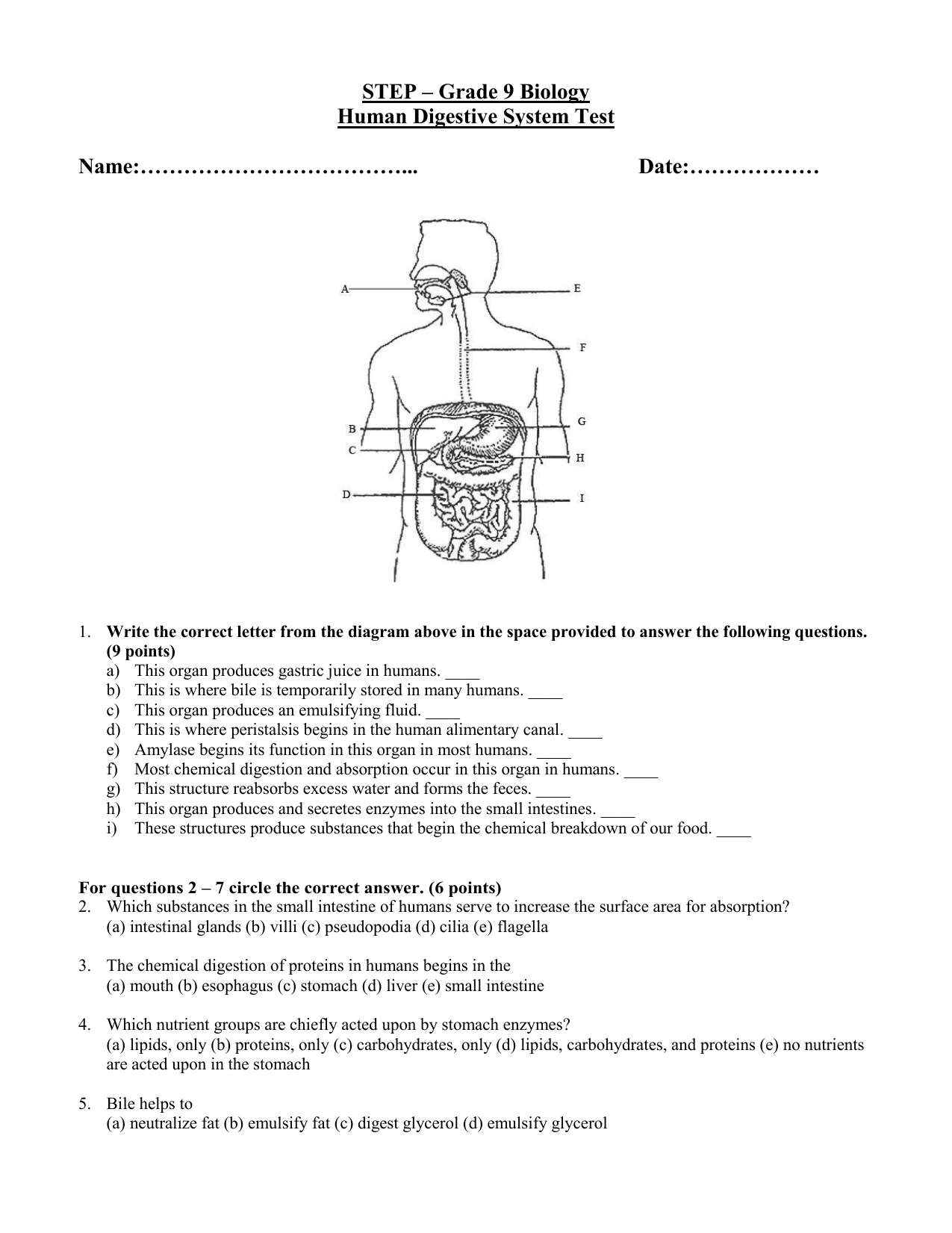 human digestive system worksheet answers