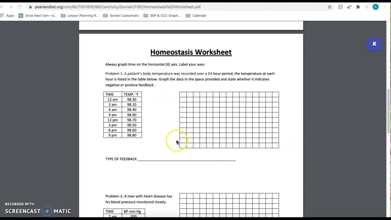 Graphing And Feedback Mechanisms Interactive Video Graphing And Feedback Mechanisms Interactive Video