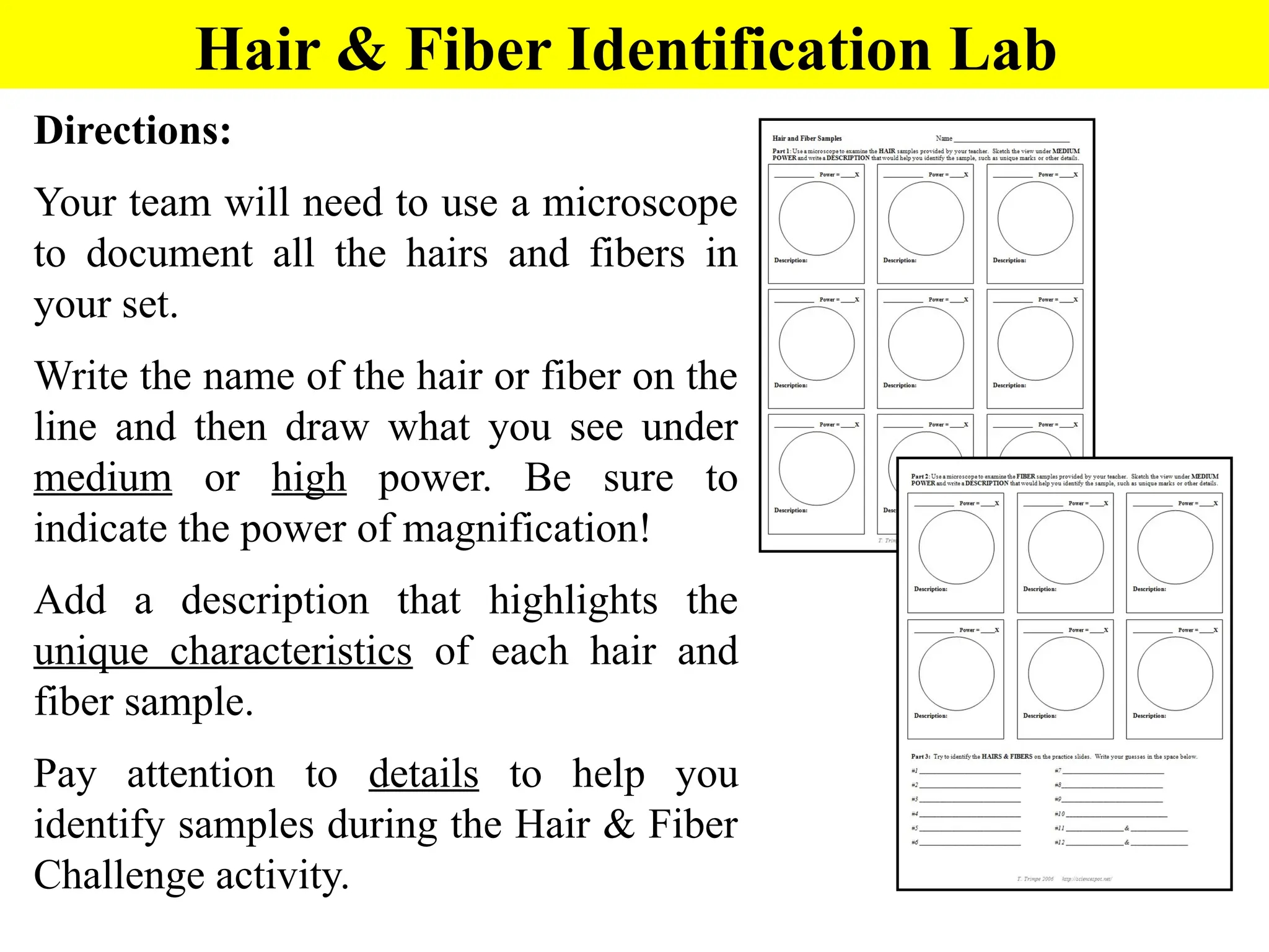 Hair And Fiber Analysis Is An Important Forensic Technique That Helps Link Suspects Victims And Crime Scenes PPTX Hair And Fiber Analysis Is An Important Forensic Technique That Helps Link Suspects Victims And Crime Scenes PPTX