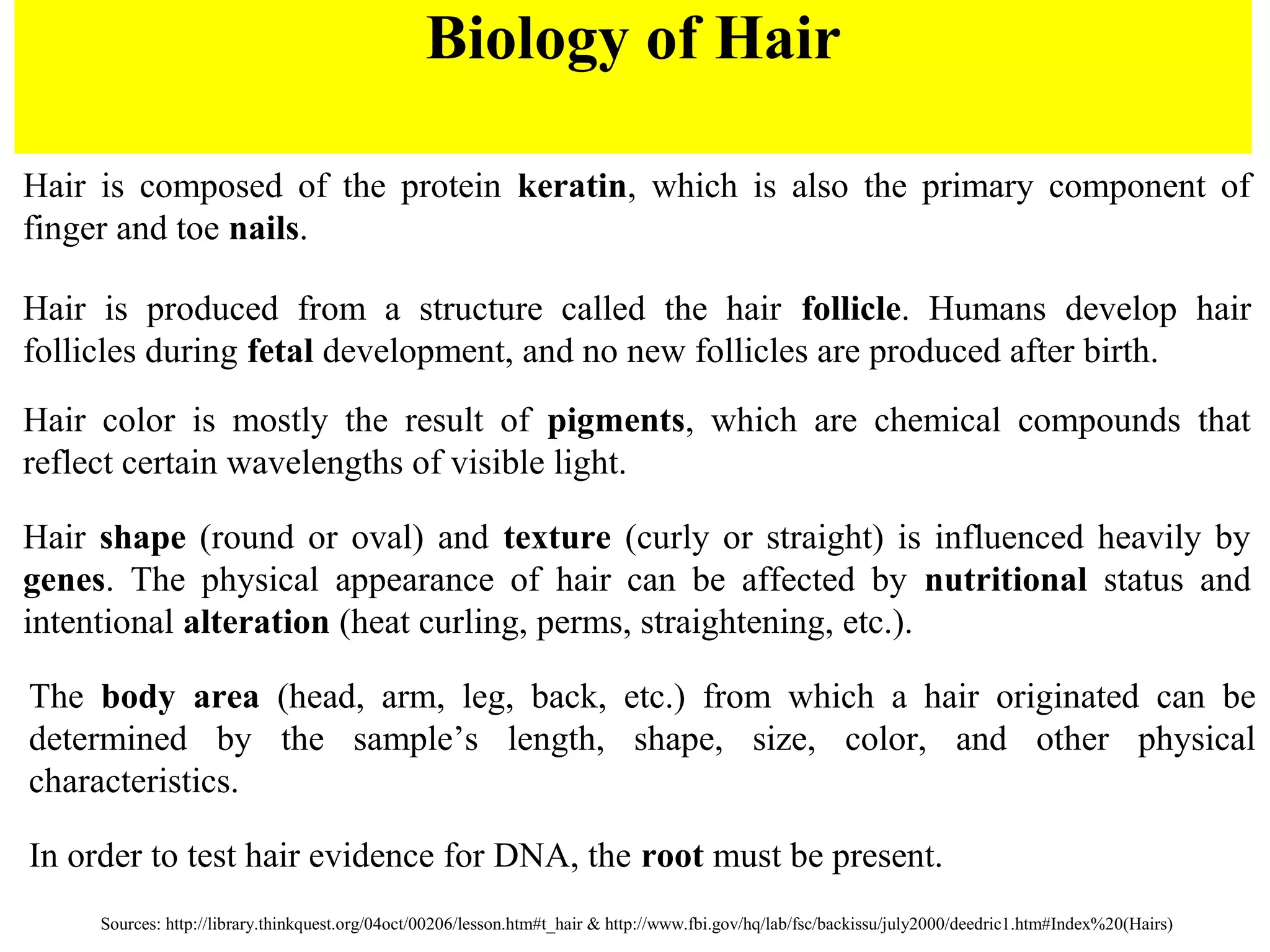 hair evidence lab worksheet answers hair evidence lab worksheet answers