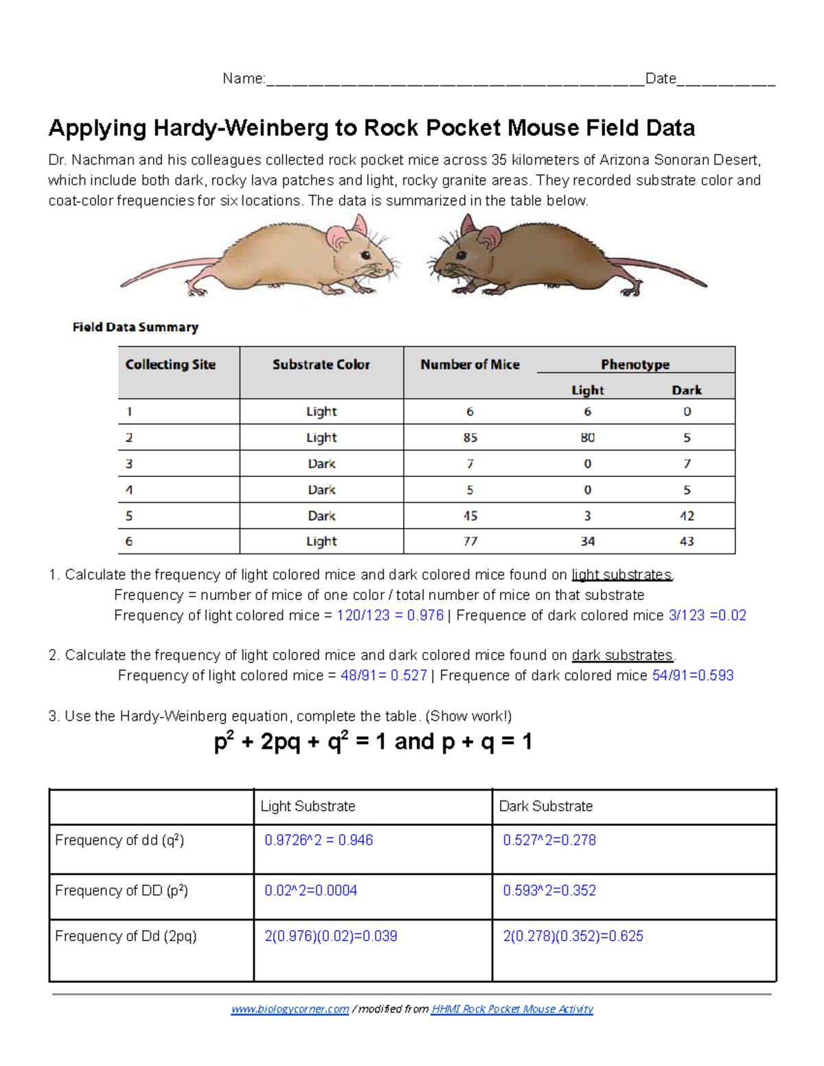 Hardy Weinberg Analysis Of Rock Pocket Mouse Data In Arizona Studocu Hardy Weinberg Analysis Of Rock Pocket Mouse Data In Arizona Studocu
