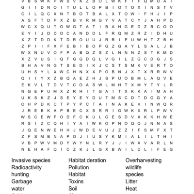 HIPPO Word Search WordMint