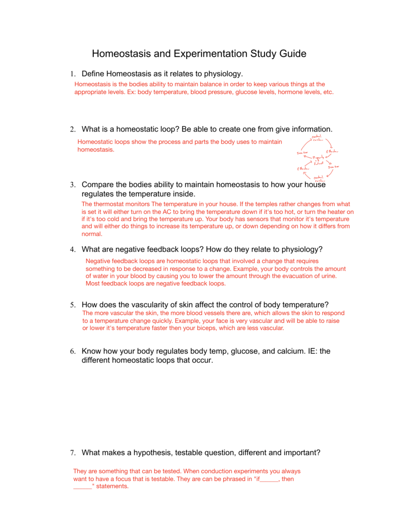 Homeostasis Experimentation Study Guide Homeostasis Experimentation Study Guide