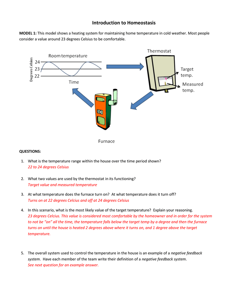 Homeostasis Feedback Loops Worksheet Homeostasis Feedback Loops Worksheet