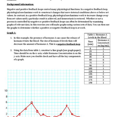 Homeostasis Graphing Activity WS 101 Feedback Loops Explained Studocu