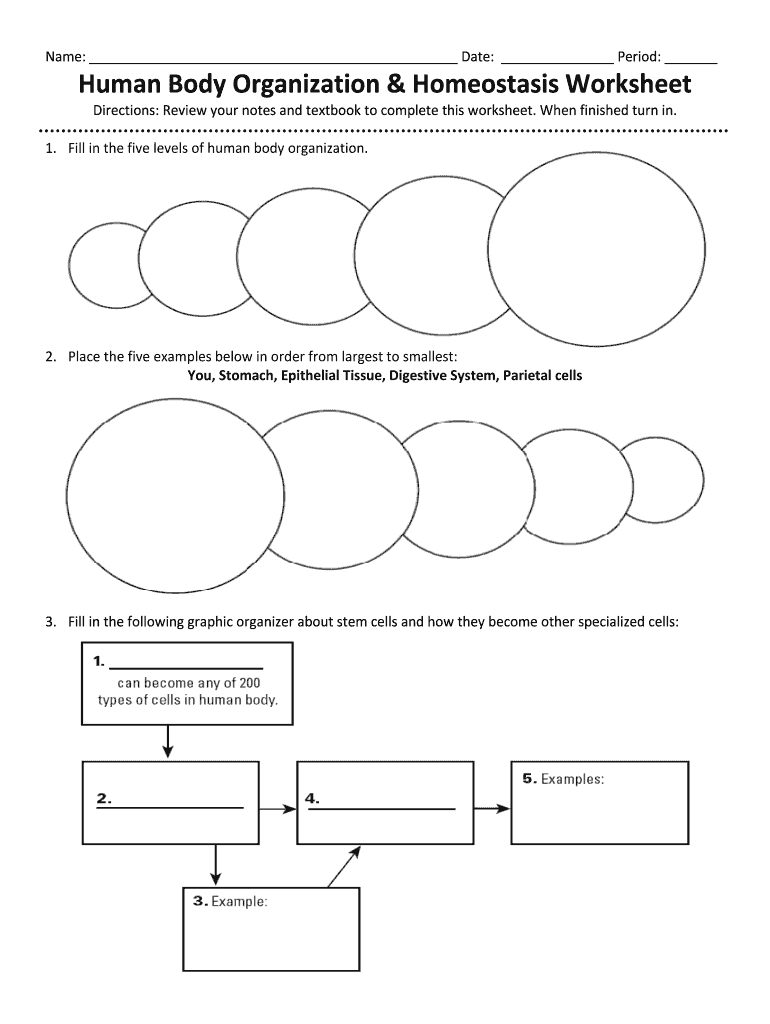 homeostasis worksheet recognize normal parameters answers