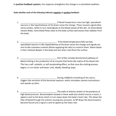 Homeostasis Worksheet Positive Negative Feedback
