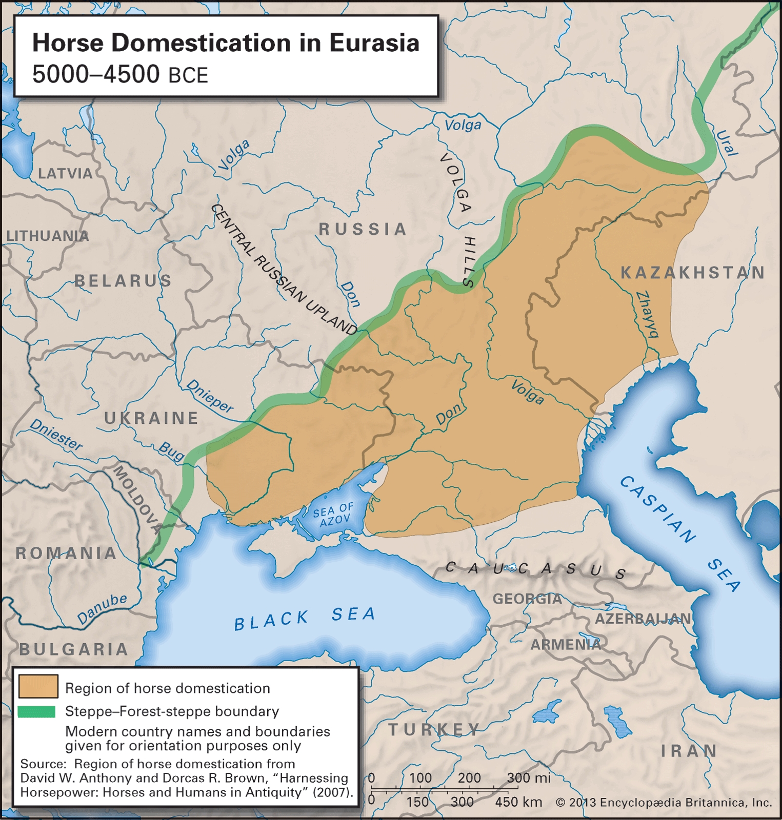 paso corto worksheet answers paso corto worksheet answers