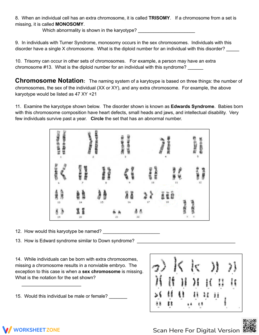 How To Interpret A Karyotype Worksheet
