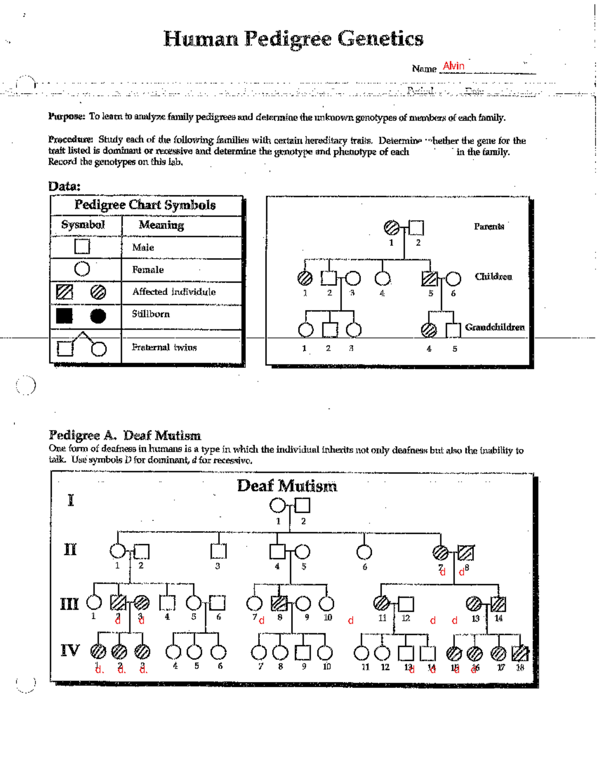 Human Pedigree Genetics Analysis Traits Genotypes Study Lab Studocu Human Pedigree Genetics Analysis Traits Genotypes Study Lab Studocu