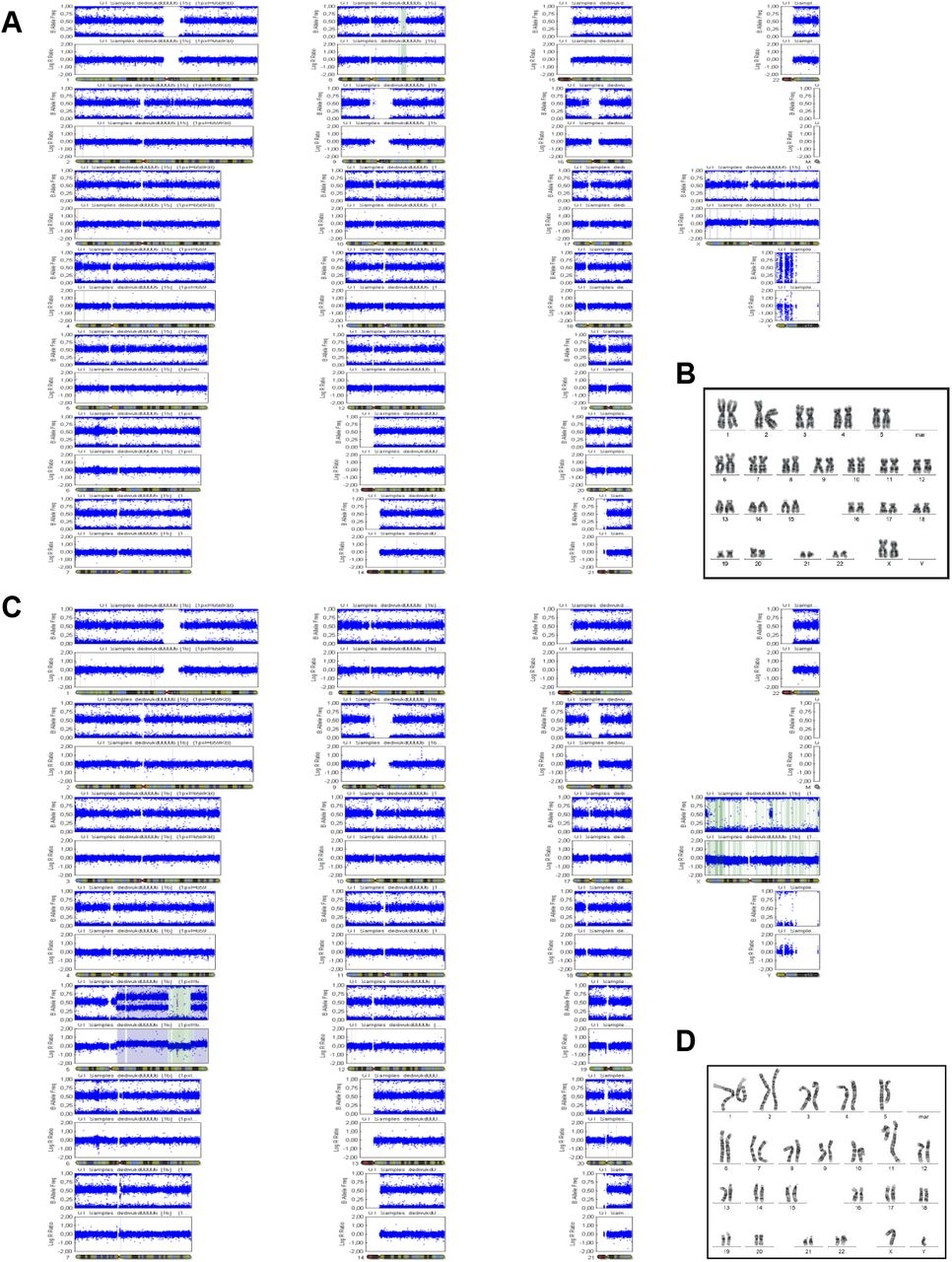 Impaired P53 mediated DNA Damage Response Contributes To Microcephaly In Nijmegen Breakage Syndrome Patient derived Cerebral Organoids BioRxiv Impaired P53 mediated DNA Damage Response Contributes To Microcephaly In Nijmegen Breakage Syndrome Patient derived Cerebral Organoids BioRxiv