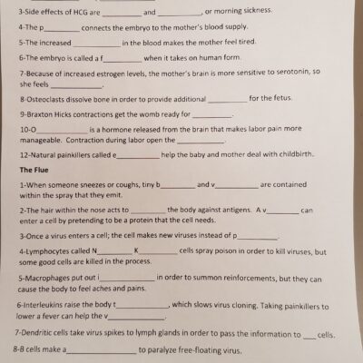 In The Womb Answer Key Fill Online Printable Fillable Blank Worksheets Library