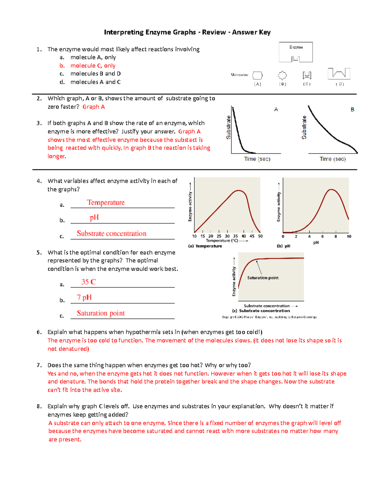 Interpreting Enzyme Graphs Answer Key For Biology 101 Final Exam Studocu