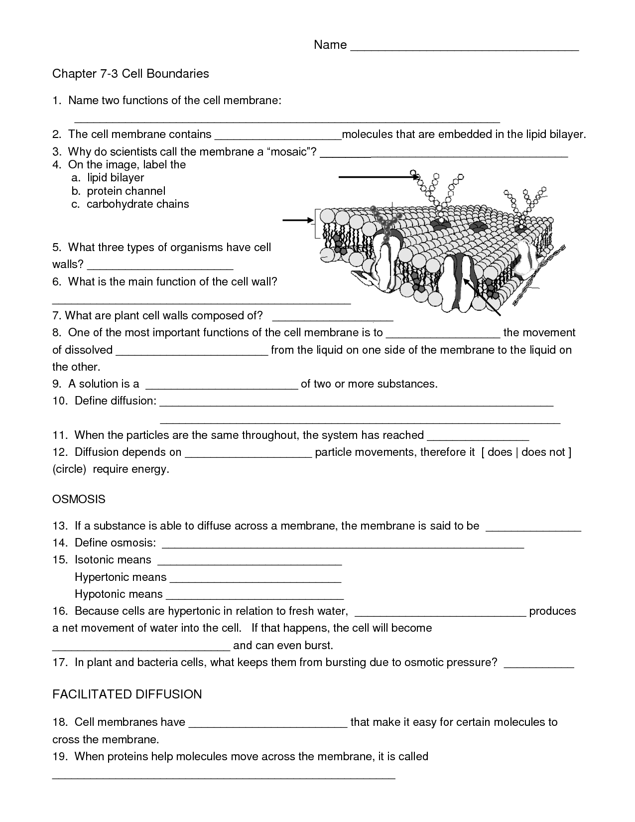 Introduction To Biology Worksheet From Notes PDF Worksheets Library