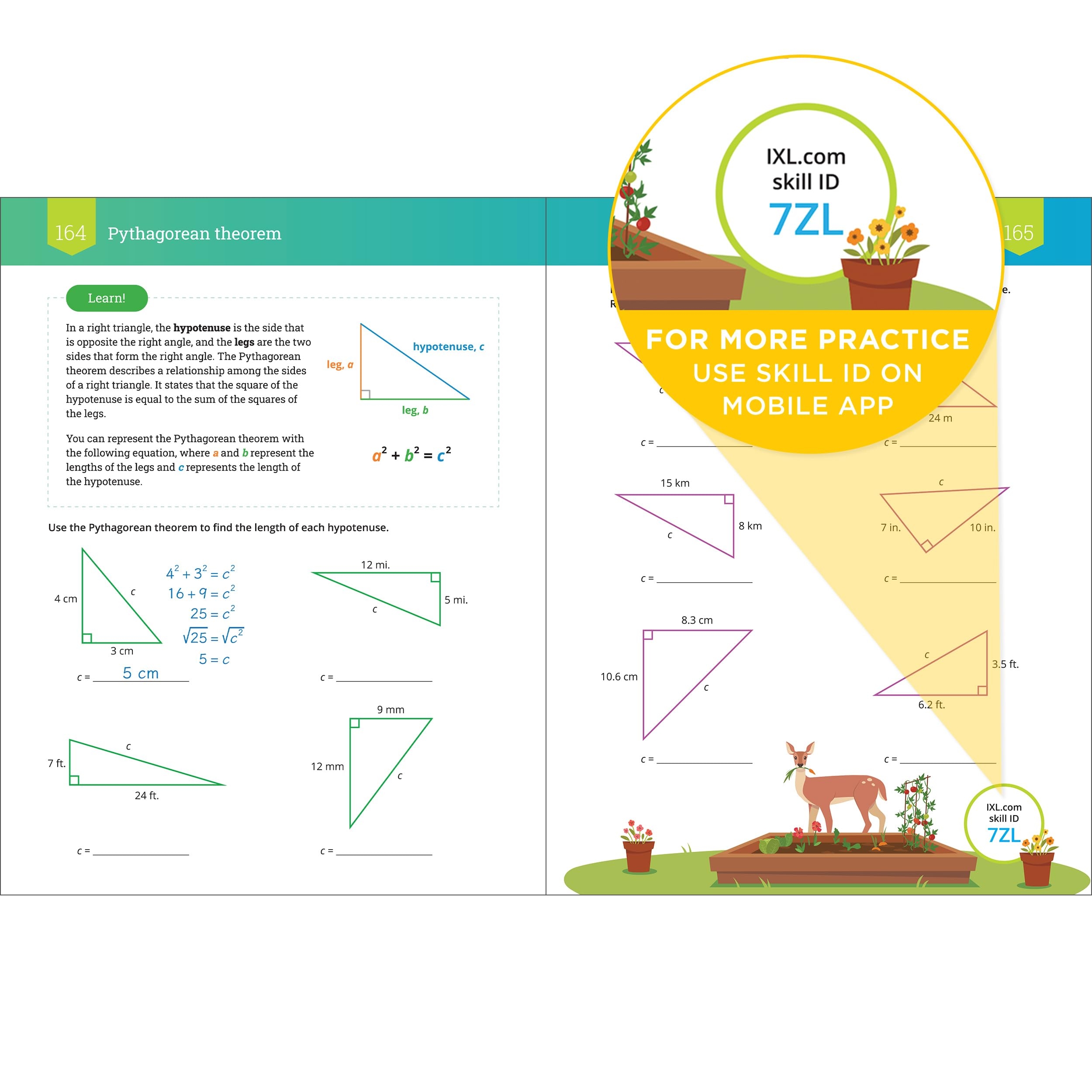 Ixl The Ultimate Eighth Grade Math Workbook Middle School Books Desertcart Seychelles Ixl The Ultimate Eighth Grade Math Workbook Middle School Books Desertcart Seychelles