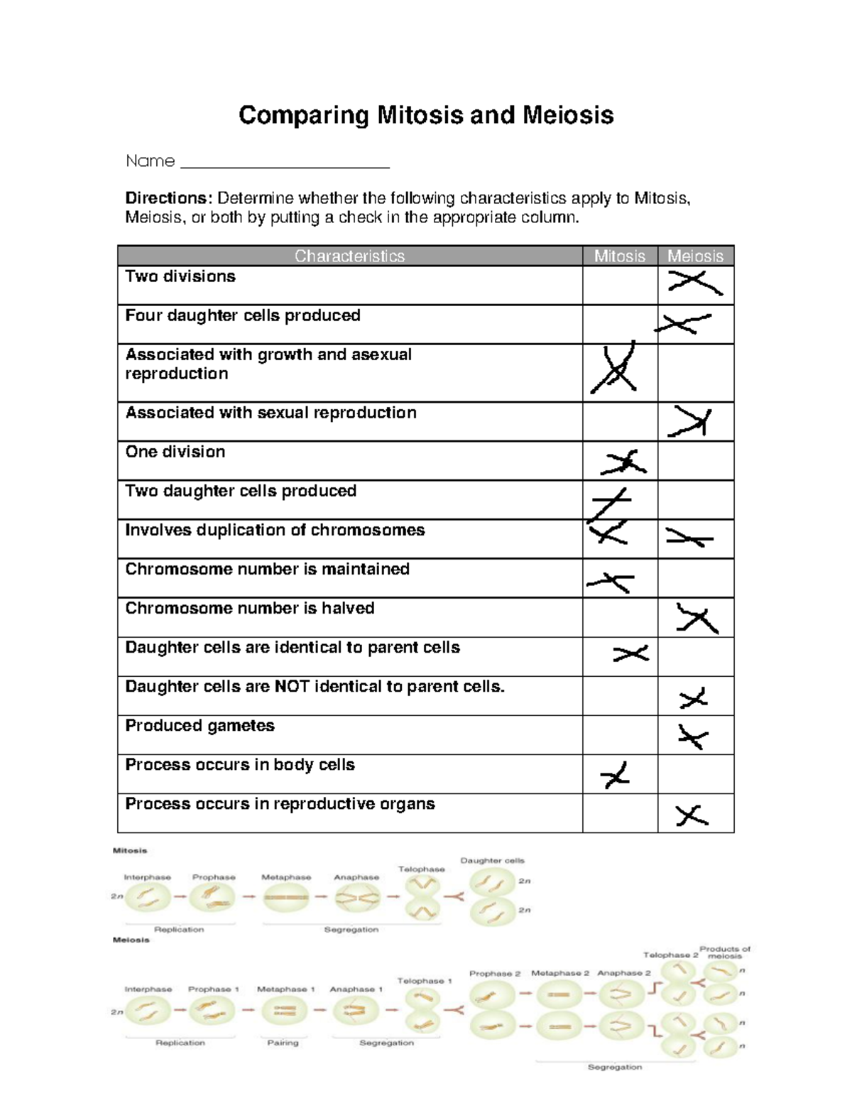 Kami Export Comparing Mitosis And Meiosis Worksheet Comparing Mitosis And Meiosis Name Studocu Kami Export Comparing Mitosis And Meiosis Worksheet Comparing Mitosis And Meiosis Name Studocu