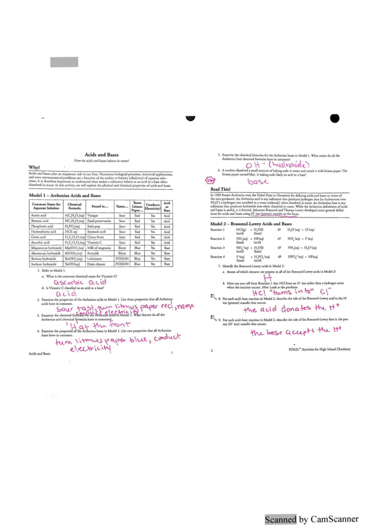 Kami Export POGIL Answer Key Acids And Bases Overview Studocu Kami Export POGIL Answer Key Acids And Bases Overview Studocu