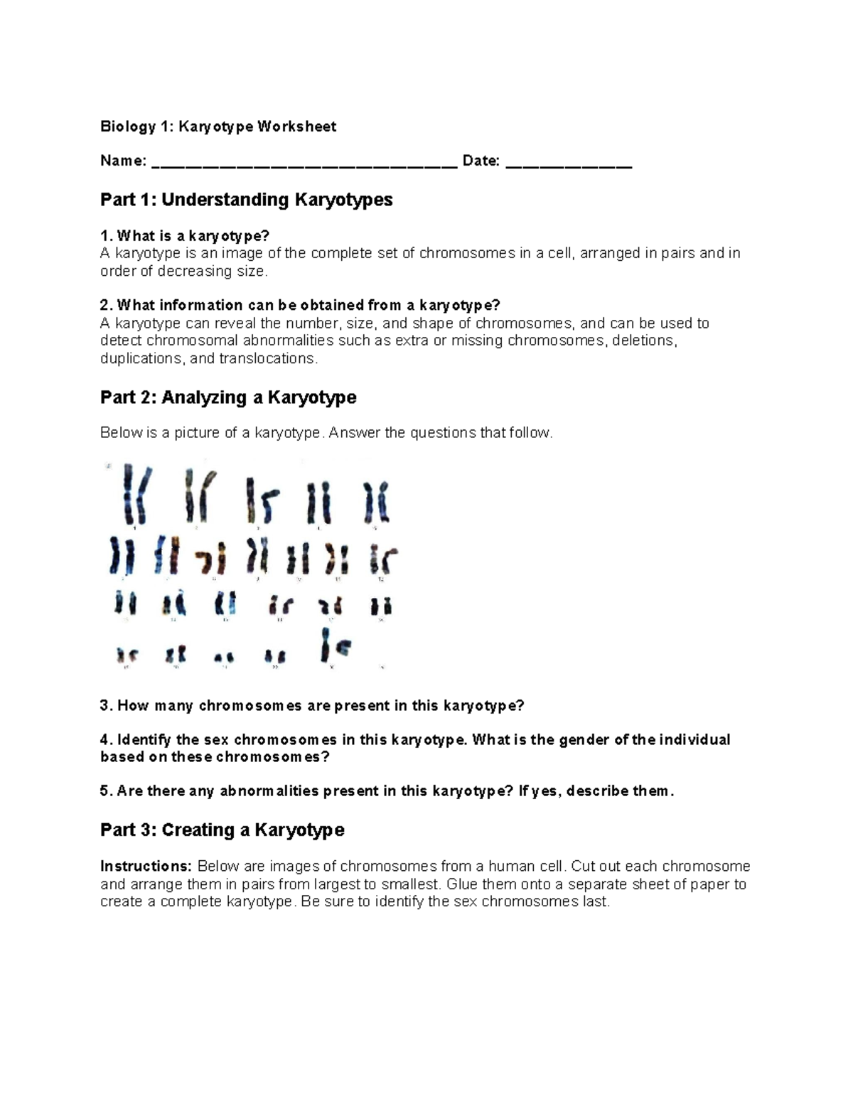 Karyotype Worksheet Bio 1 Karyotyping Chromosomal Disorders Studocu