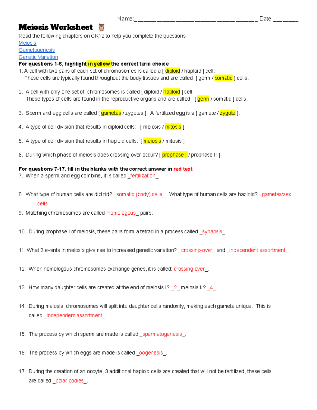 KEY Meiosis Worksheet BIO 101 Studocu KEY Meiosis Worksheet BIO 101 Studocu