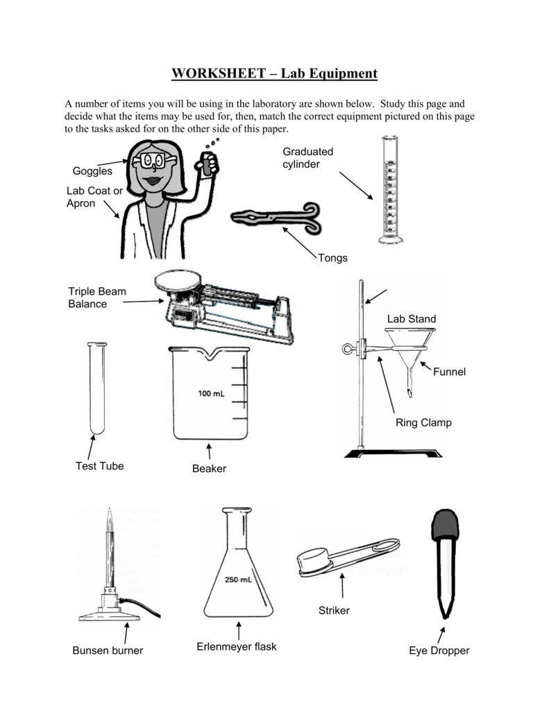 Lab Equipment Worksheet Science Tools Functions