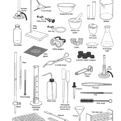 Lab Equipment Worksheet Science Vocabulary Definitions
