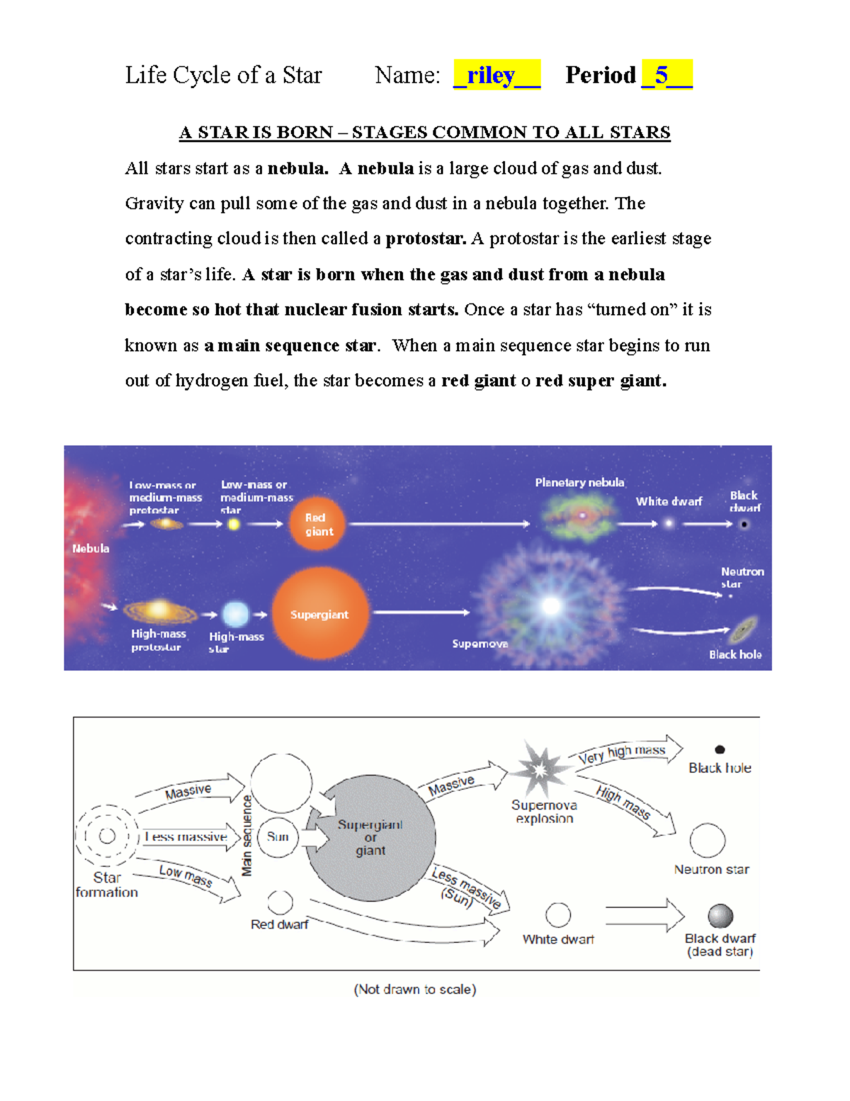 Life Cycle Of Stars Review Understanding Stellar Evolution Studocu Life Cycle Of Stars Review Understanding Stellar Evolution Studocu