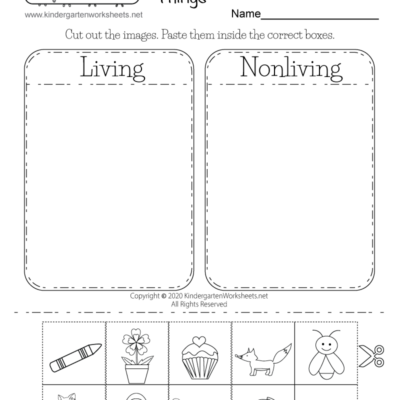 Living And Nonliving Things Worksheet Free Printable Digital PDF