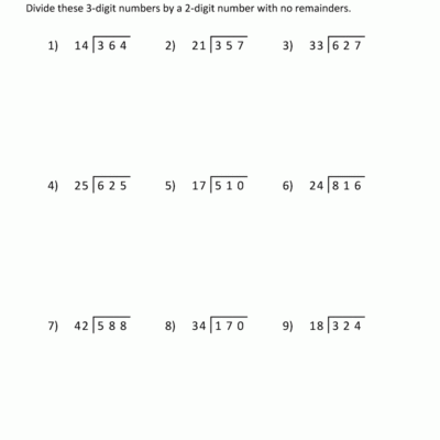 Long Division Worksheets For 5th Grade