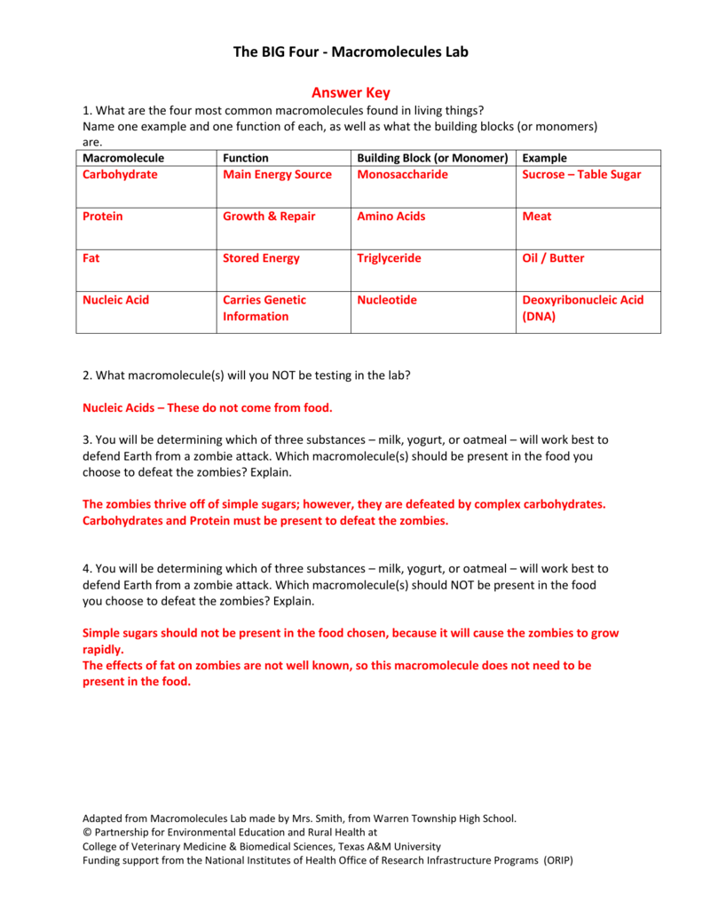 Macromolecules Lab Answer Key Zombie Defense 