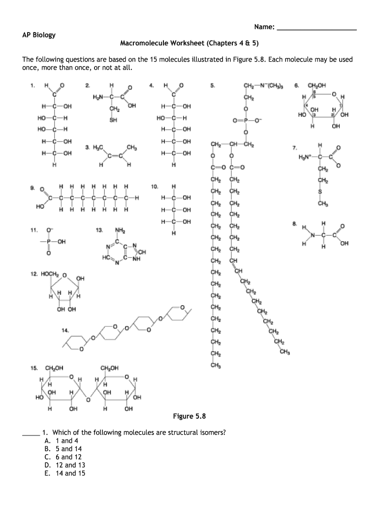 Macromolecules Worksheet Fill Out Sign Online DocHub