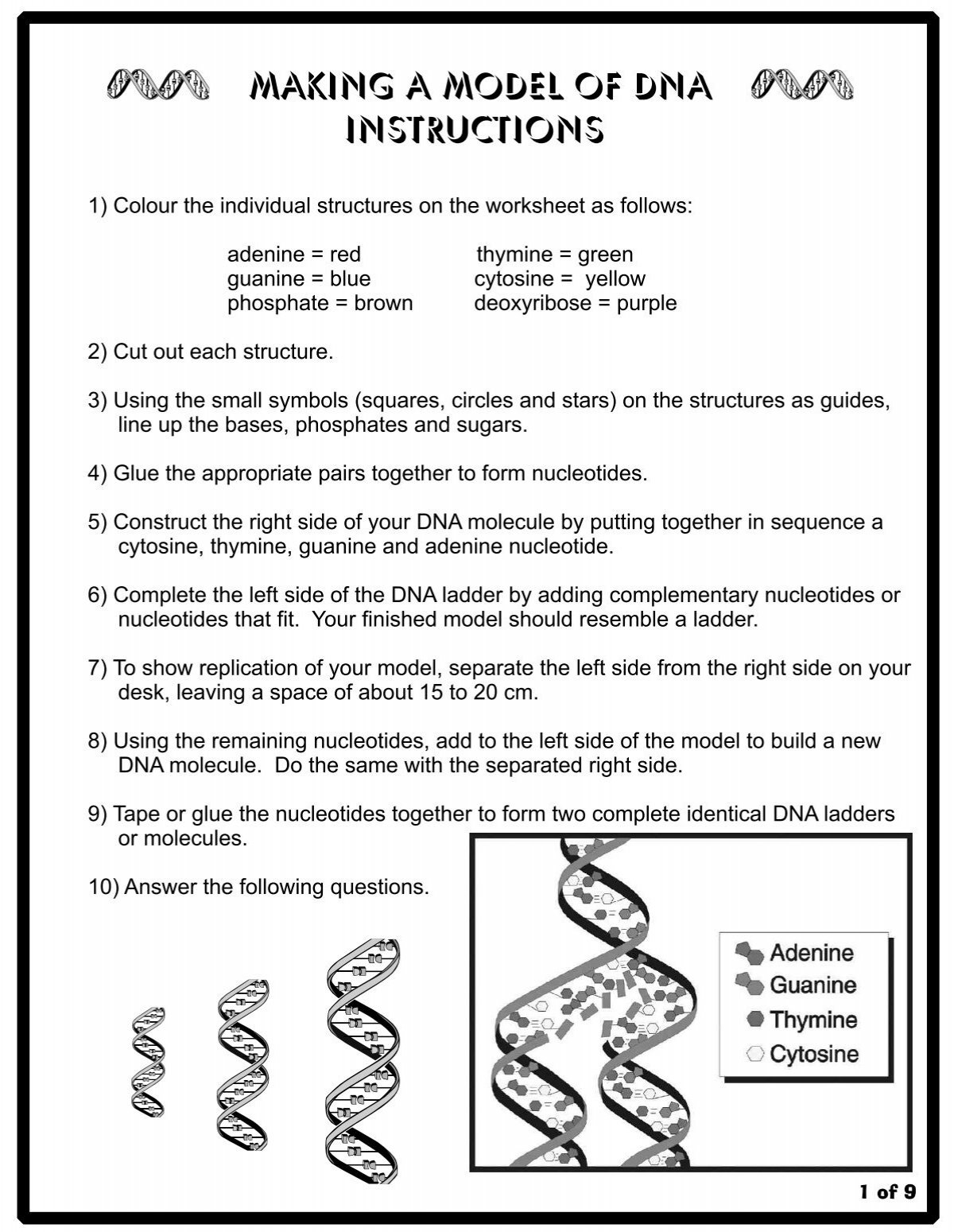 Making A Model Of DNA Instructions Making A Model Of DNA Instructions