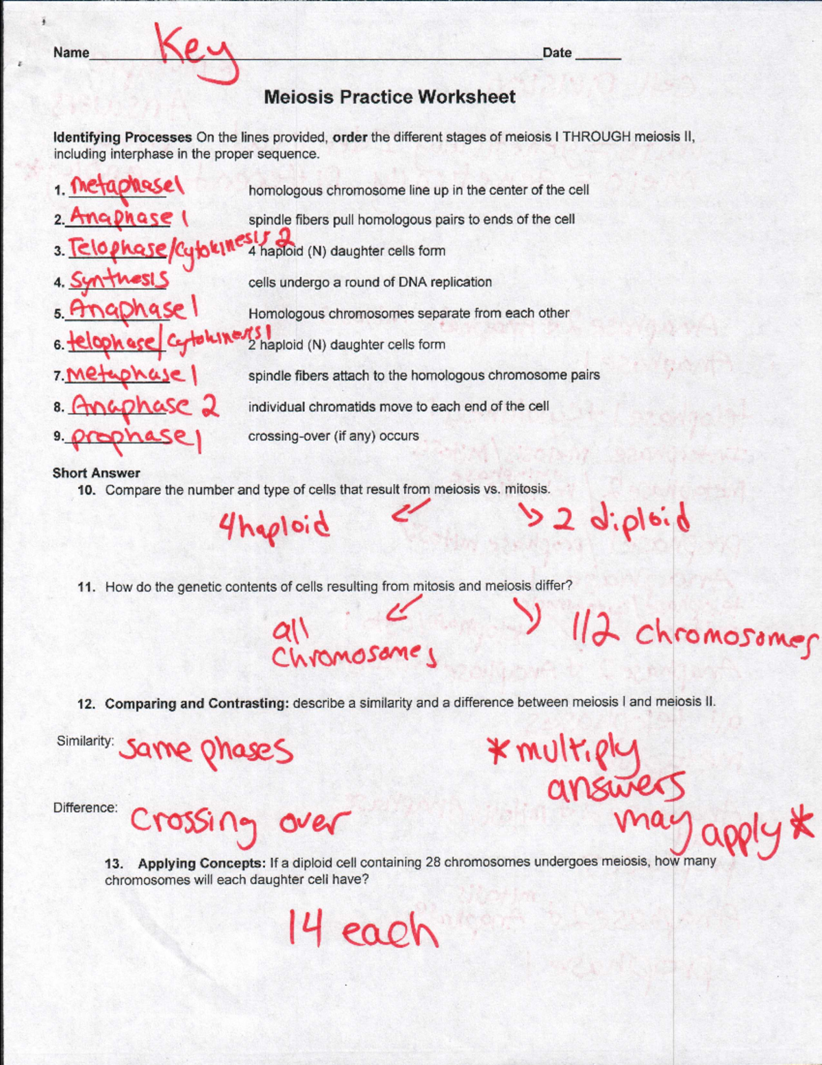 Meiosis Practice Worksheet Key For Biology 101 Studocu Meiosis Practice Worksheet Key For Biology 101 Studocu