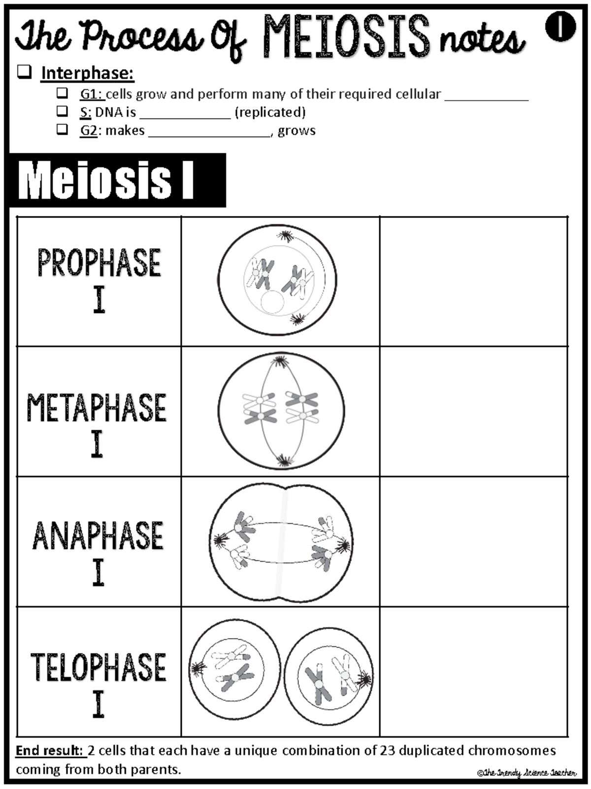 meiosis worksheet answers pogil meiosis worksheet answers pogil