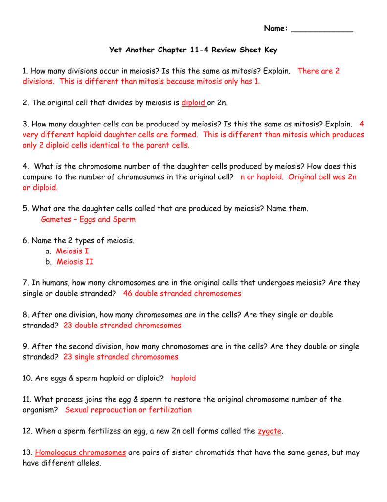 Meiosis Review Sheet Key High School Biology Meiosis Review Sheet Key High School Biology