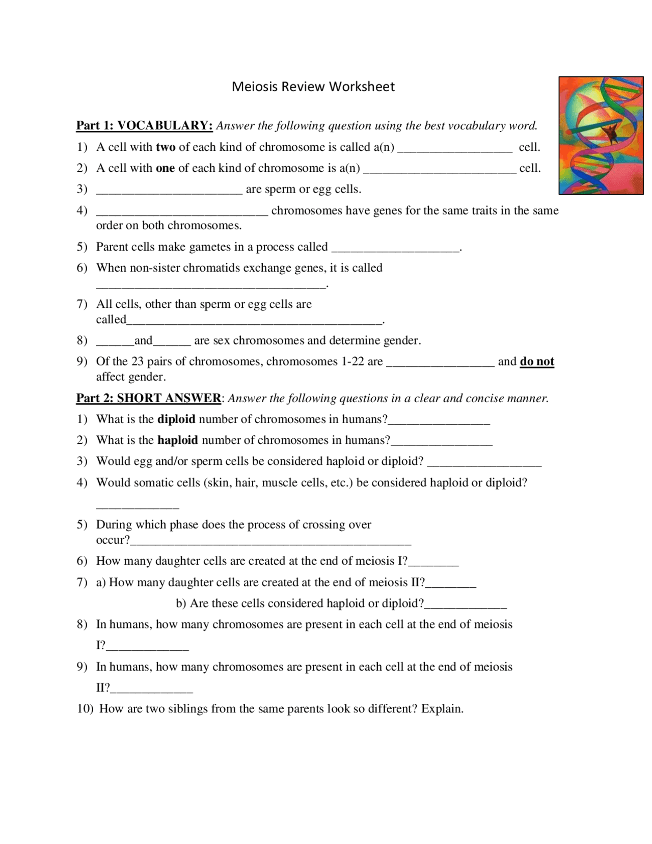 Meiosis Review Worksheet Vocabulary Practice Exercises Cell Biology Docsity Meiosis Review Worksheet Vocabulary Practice Exercises Cell Biology Docsity