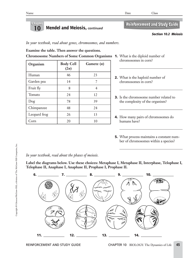 Meiosis Worksheet Pdf Answers Fill Out Sign Online DocHub Meiosis Worksheet Pdf Answers Fill Out Sign Online DocHub