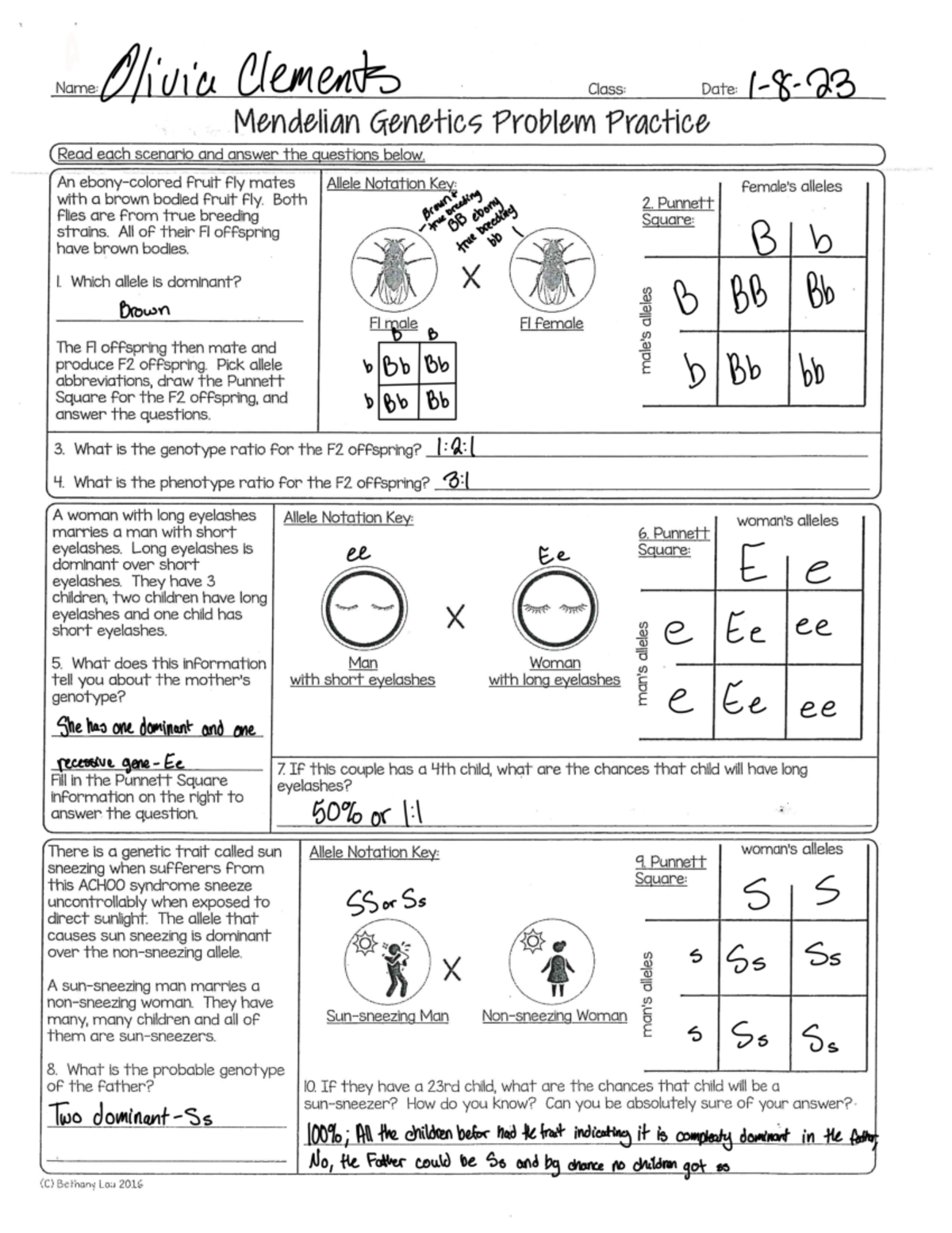 Mendelian Genetics Practice Problems Chapters 1 3 4 6 Studocu Mendelian Genetics Practice Problems Chapters 1 3 4 6 Studocu