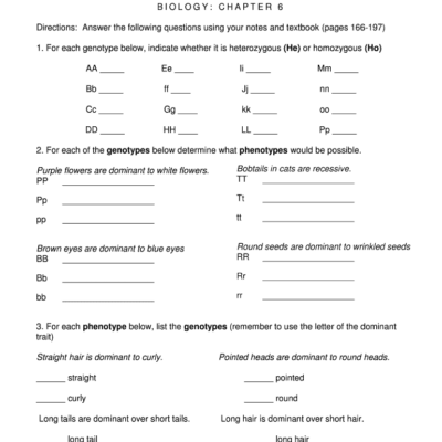 Mendelian Genetics Worksheet Fill Out Sign Online DocHub Worksheets Library