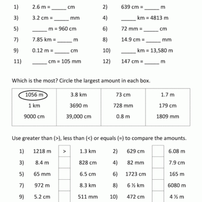 Metric Conversion Worksheet
