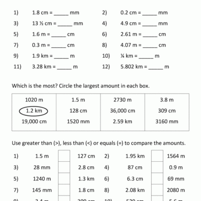 Metric Conversion Worksheet