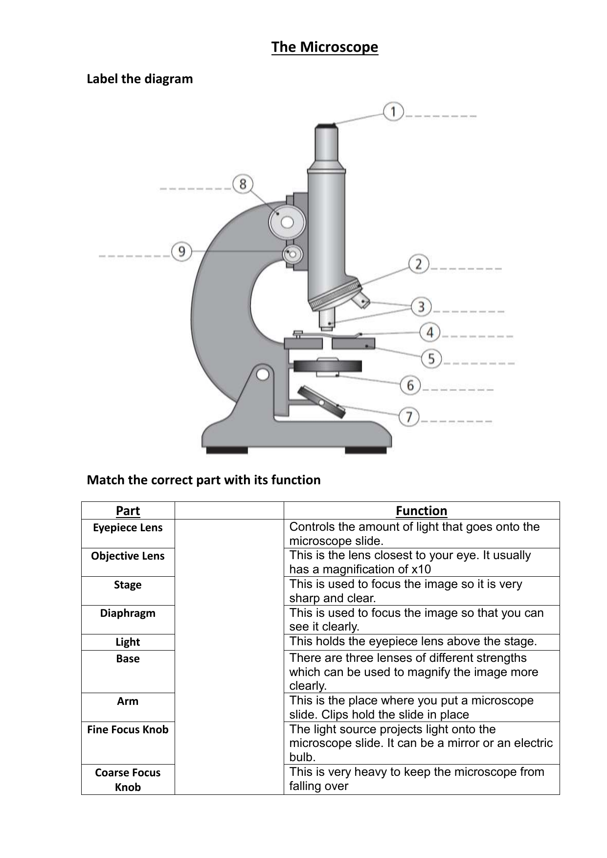 label microscope worksheet answers