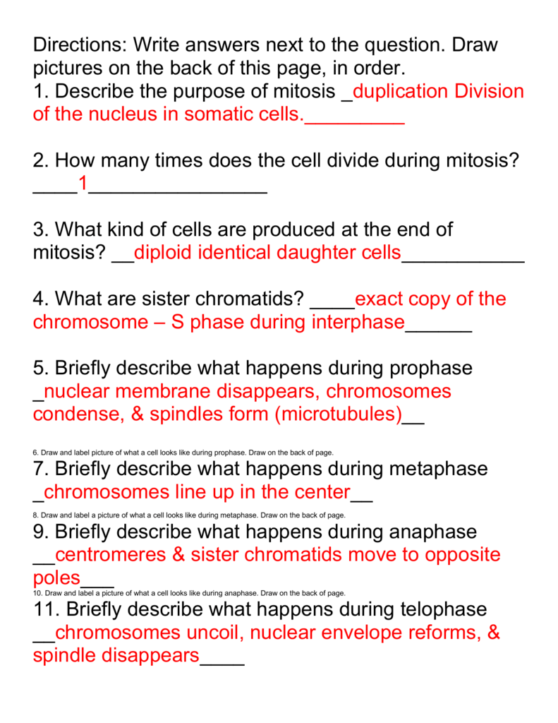 Mitosis And Meiosis Worksheet Mitosis And Meiosis Worksheet
