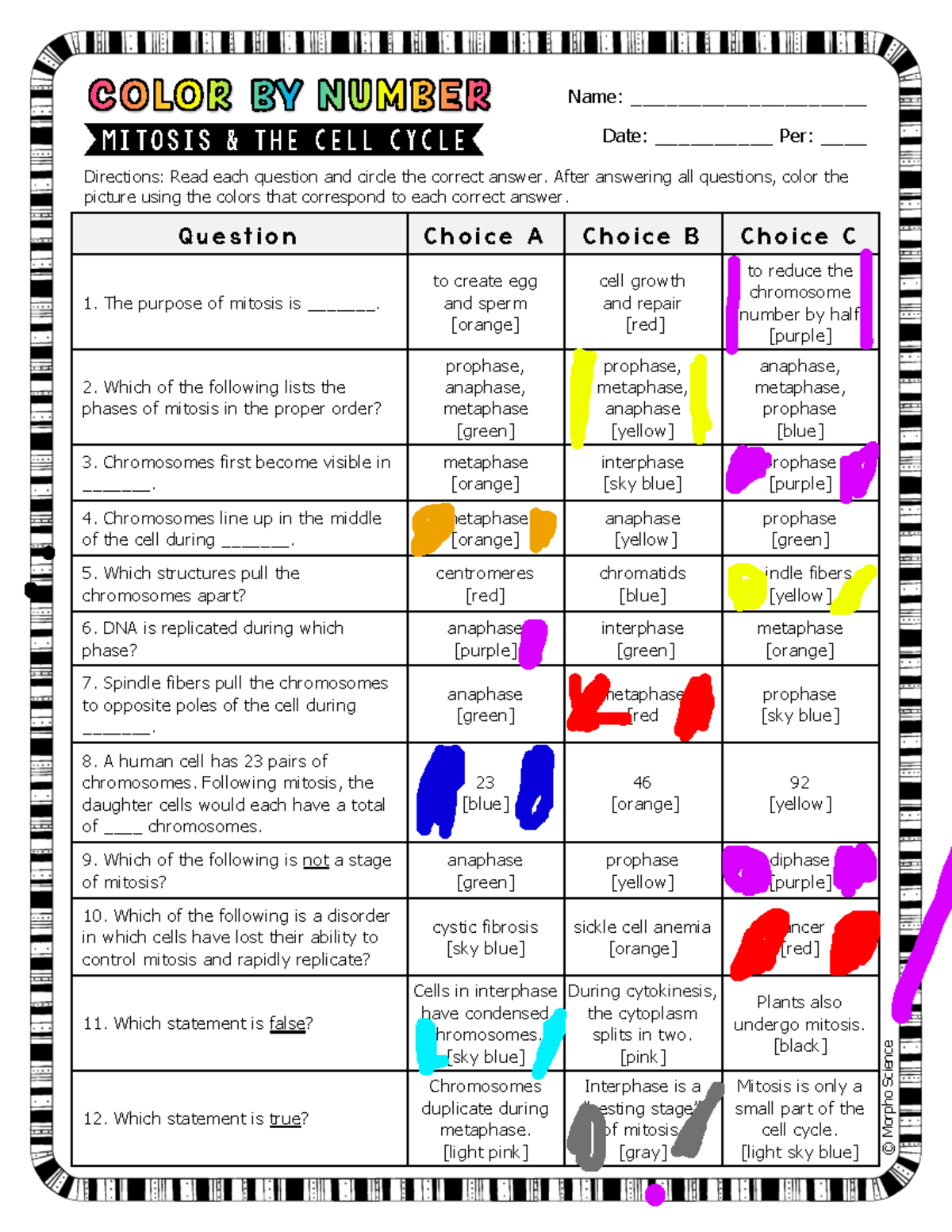 Mitosis Color By Number Worksheet Aeden Garnett Studocu