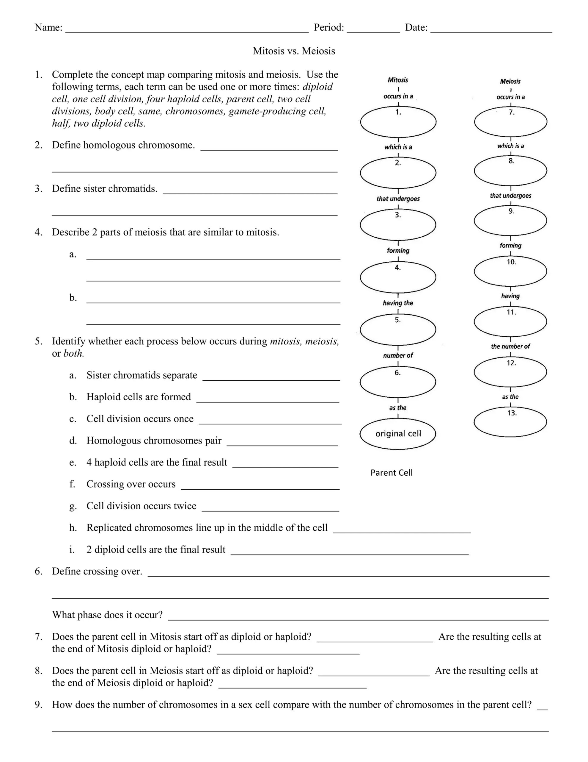 mitosis vs meiosis worksheet answer sheet mitosis vs meiosis worksheet answer sheet