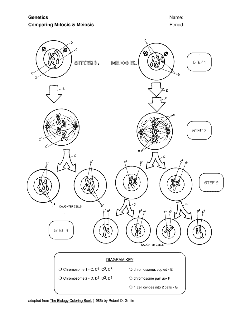 Mitosis Vs Meiosis Worksheet Fill Out Sign Online DocHub Mitosis Vs Meiosis Worksheet Fill Out Sign Online DocHub