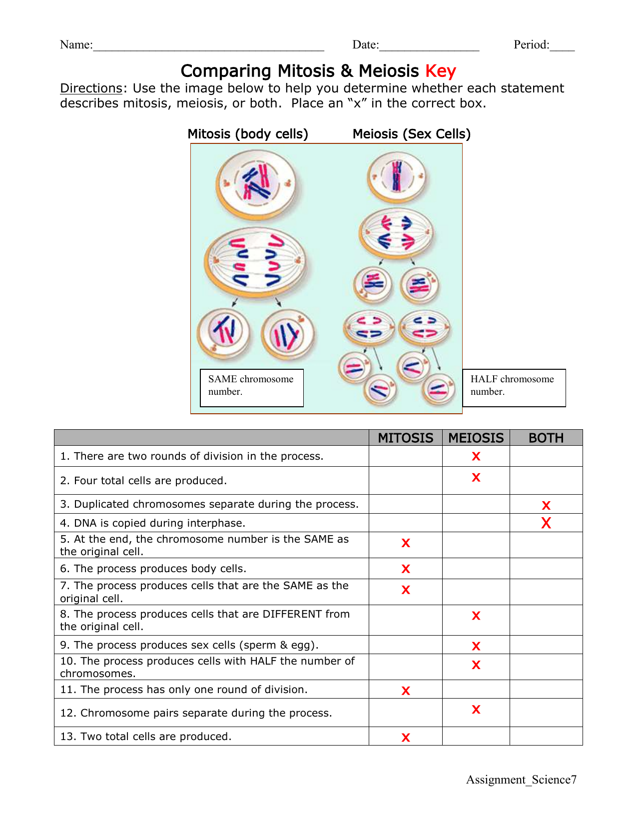 Mitosis Vs Meiosis Worksheet Key Mitosis Vs Meiosis Worksheet Key